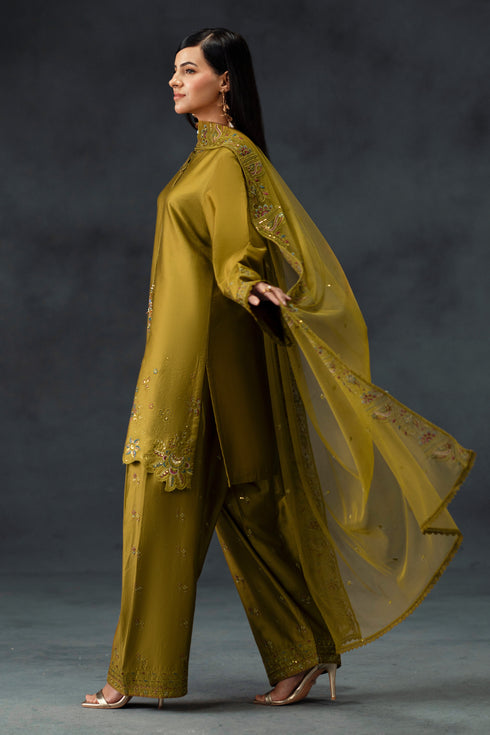 Nazish by NAQSHI angled view highlighting embroidery on shirt front and border lace on sleeves